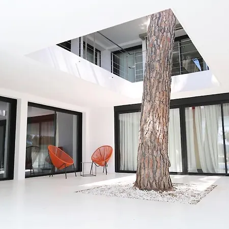 K-sea One - Unique De Luxe A * 卡西斯